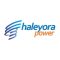 loker PT Haleyora Powerindo (PLN Group)